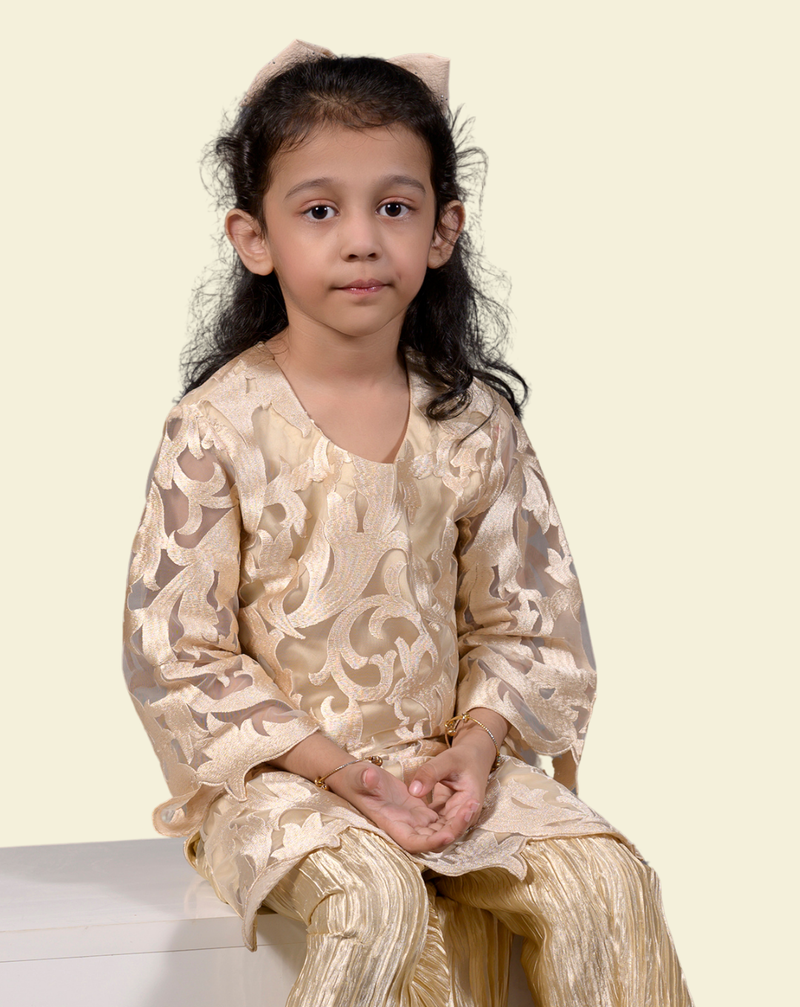 Golden Thread Cutwork Embroidery 3-Piece Net Suit &ndash; View 4